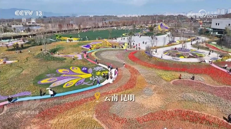 幸福产业”书写乡村振兴“花样”答卷